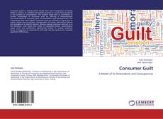 Consumer Guilt kitap kapağı