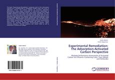 Buchcover von Experimental Remediation: The Adsorption-Activated Carbon Perspective