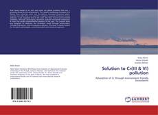 Capa do livro de Solution to Cr(III & VI) pollution 