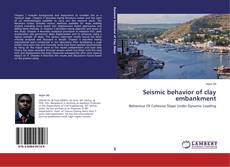 Seismic behavior of clay embankment的封面
