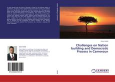 Capa do livro de Challenges on Nation building and Democratic Process in Cameroun 
