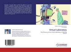 Capa do livro de Virtual Laboratory 