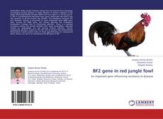 Обложка BF2 gene in red jungle fowl