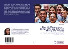 Bookcover of Diversity Management – Bridging the Gap between Theory and Practice