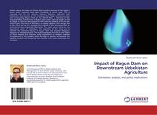 Buchcover von Impact of Rogun Dam on Downstream Uzbekistan Agriculture