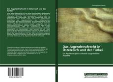 Bookcover of Das Jugendstrafrecht in Österreich und der Türkei