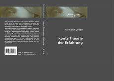 Buchcover von Kants Theorie der Erfahrung