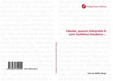 Couverture de Fabulae, quarum interpretes hi sunt: Guilelmus Goudanus ...