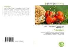 Borítókép a  Potassium - hoz