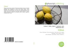 Borítókép a  Citrus - hoz