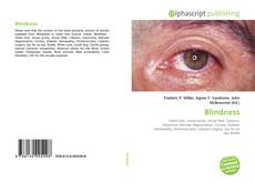 Capa do livro de Blindness 