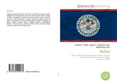 Bookcover of Belize