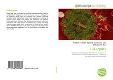 Обложка Eukaryote