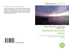 Обложка Mesoscale Convective System