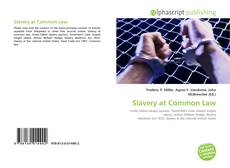 Slavery at Common Law的封面