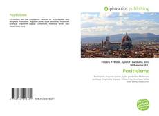 Обложка Positivisme