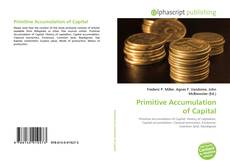 Primitive Accumulation of Capital的封面