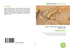 Paleolithic的封面