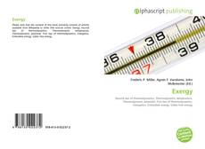 Bookcover of Exergy
