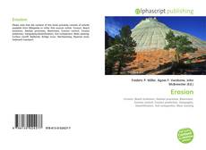 Bookcover of Erosion