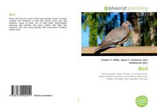 Buchcover von Bird