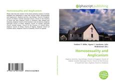 Homosexuality and Anglicanism的封面
