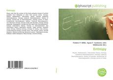Entropy的封面