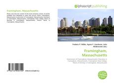 Portada del libro de Framingham, Massachusetts