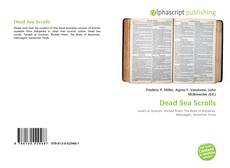 Dead Sea Scrolls的封面