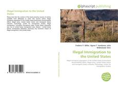 Bookcover of Illegal Immigration to the United States