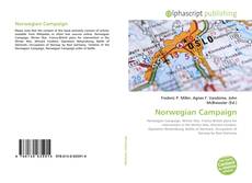 Norwegian Campaign的封面