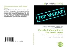 Borítókép a  Classified Information in the United States - hoz