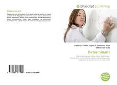 Bookcover of Determinant