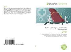 Bookcover of Liver