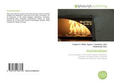 Bookcover of Incineration