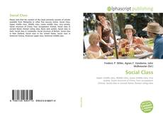 Social Class的封面