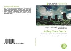 Boiling Water Reactor的封面