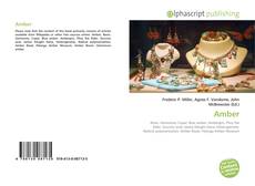 Capa do livro de Amber 