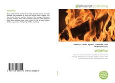 Bookcover of Wildfire