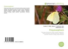 Polymorphism的封面