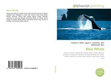 Buchcover von Blue Whale