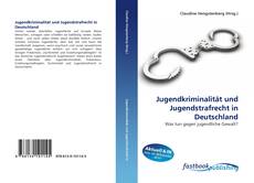 Jugendkriminalität und Jugendstrafrecht in Deutschland的封面