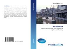 Portada del libro de Inondation