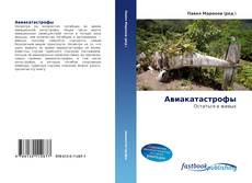 Portada del libro de Авиакатастрофы