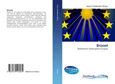 Portada del libro de Brüssel