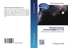 Portada del libro de Техногенные катастрофы в 21-м