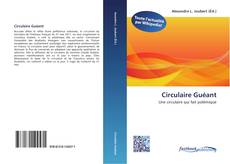 Bookcover of Circulaire Guéant