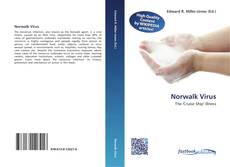 Bookcover of Norwalk Virus