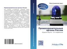 Bookcover of Правоохранительные органы России