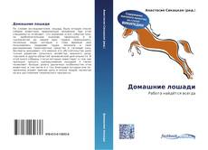 Bookcover of Домашние лошади